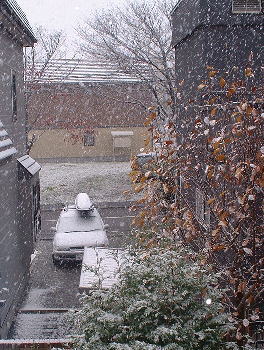 081104初雪車